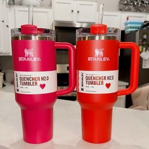 (2) Target Valentines Day Tumblers